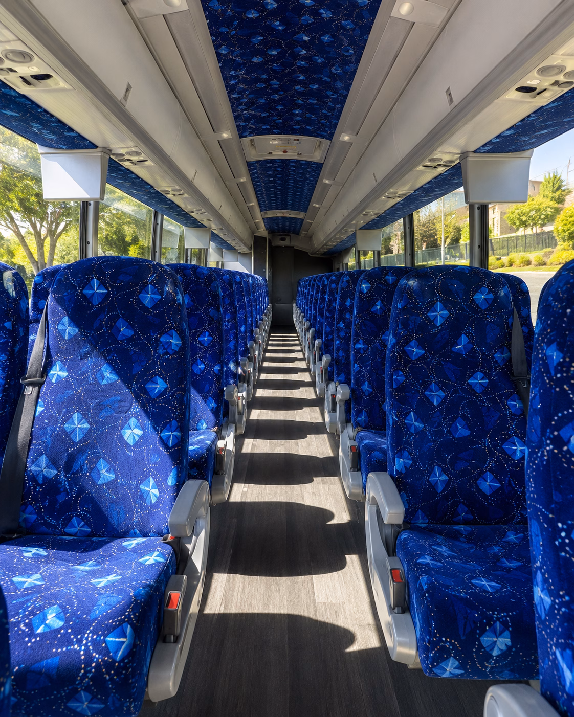 thornton book reliable school field trip bus service in thornton