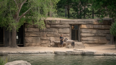 denver zoo