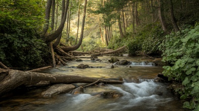 second creek trail